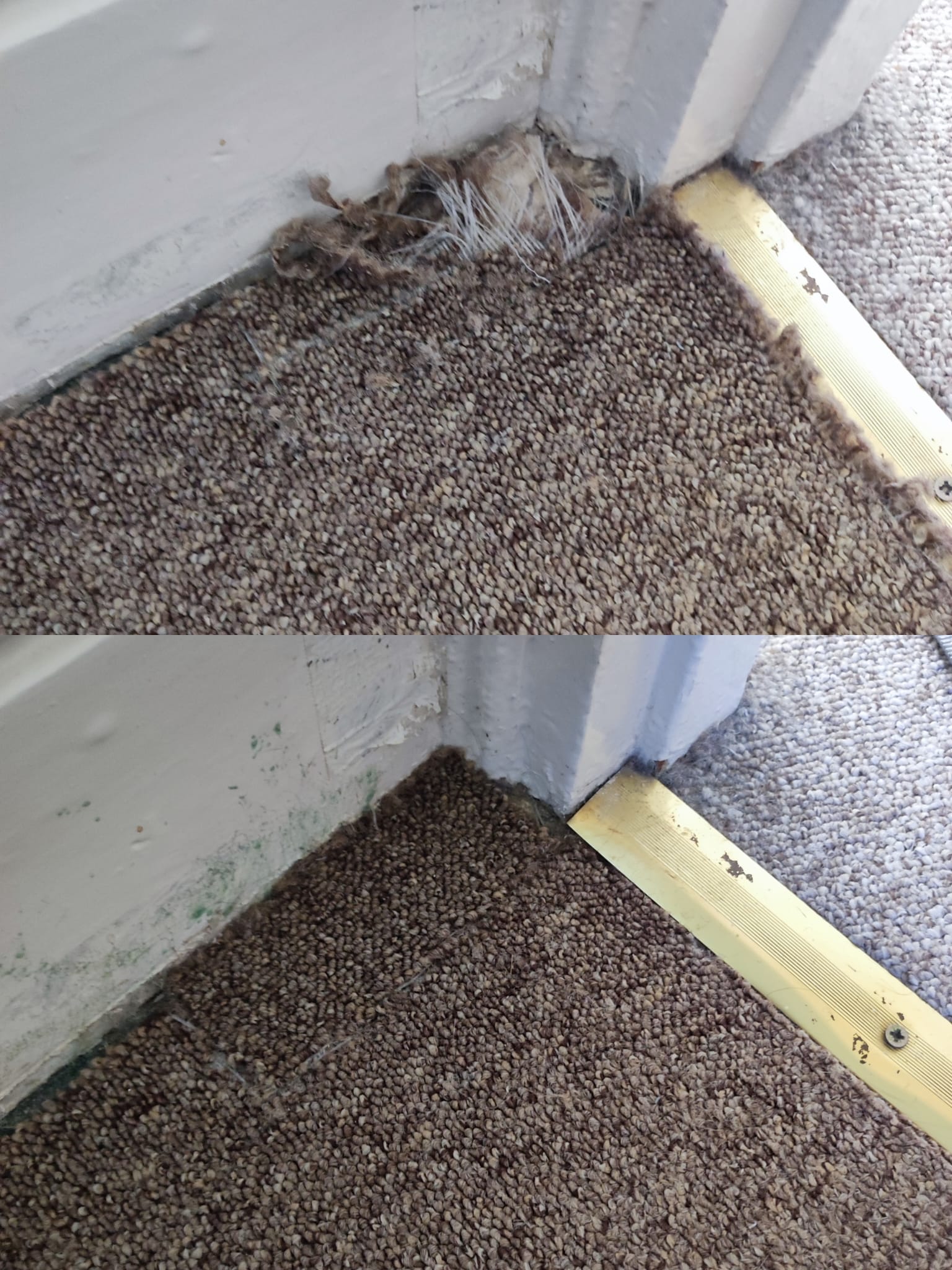 Carpentry Repair (Before & After)