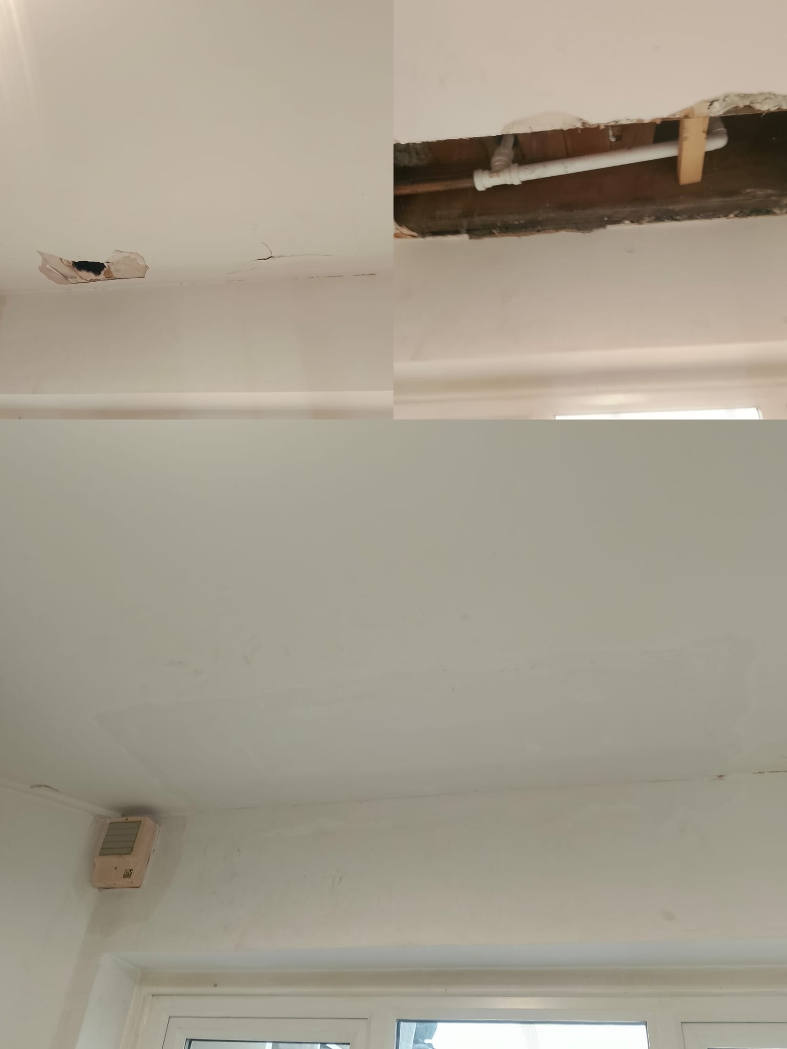 Ceiling Repair After Water Damage